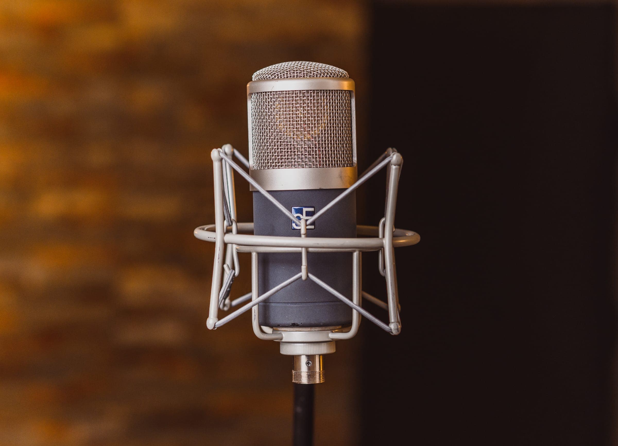 Valve condenser microphone in a shock mount